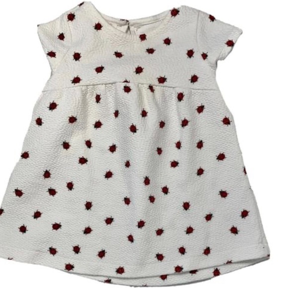 Zara Dresses Zara Baby Girl Dress Poshmark